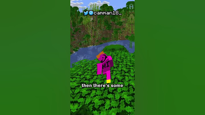 the worst minecraft texture EVER