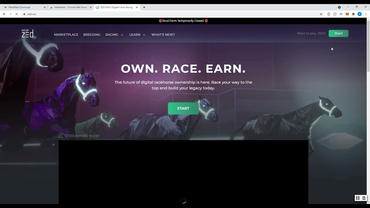 Zed.run tutorial for full account setup including wallet linking