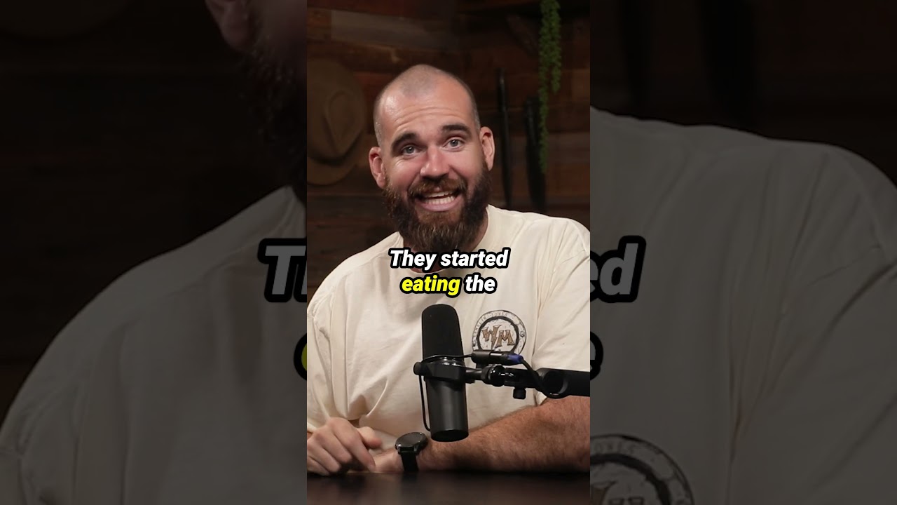 This Is Evolution At It's Finest