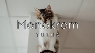 Tulus - Monokrom | Cover by Feby Putri x Mr. HeadBox & Adam