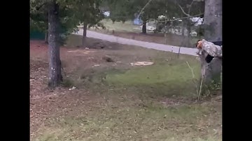 LAF MUZZLE BRAKE by Jmac Customs