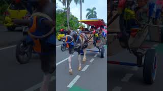 Download Lagu NAIK DELMAN ISTIMEWA - LAGU ANAK MP3 Download Lagu NAIK DELMAN ISTIMEWA - LAGU ANAK MP3