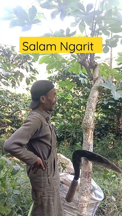 Kata kata hari ini #fypγ· #fyp #ngarit #ngaritrumput #katakatahariini #shorts