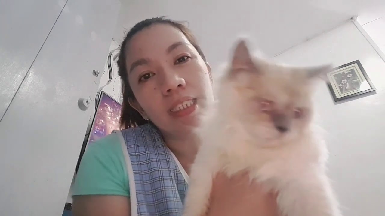 how to treat ringworm at home? part 2 