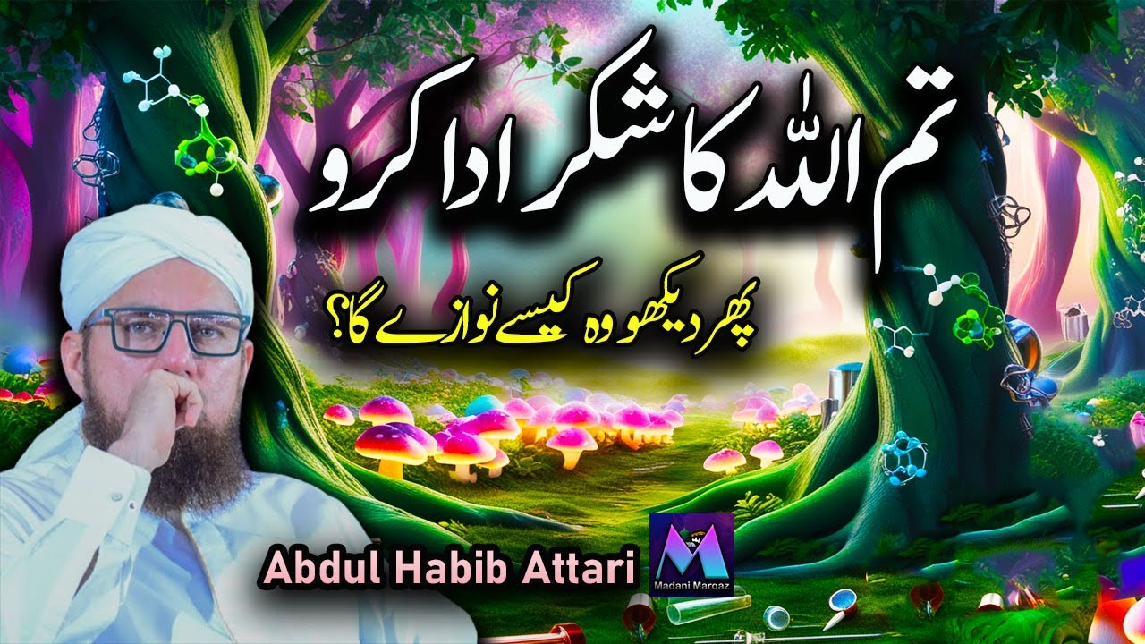 Tum Allah Ka Shukkar Ada Karo New Amazing Speech by Motivational Speaker Abdul Habib Attari