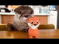 カワウソのめっちゃかわいい新グッズ＆カレンダー誕生！　New Otter Items are Here! Including the 2022 Calendar!