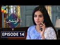 Qurbatain Episode 14 HUM TV Drama 24 August 2020