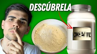 ¿Qué PROTEÍNA DE SUERO DE LECHE es MEJOR? | Guía para Comprar PROTEINA WHEY by El Alimentólogo  3,499 views 1 month ago 12 minutes, 48 seconds