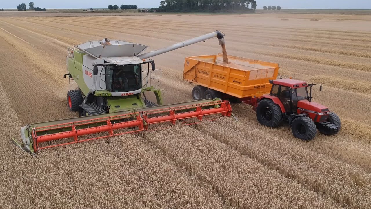 Westerhof harvesting wheat