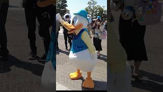 Donald Duck LOOKING for Daisy Duck at Tokyo Disney! #tokyo #disney #tokyodisneysea Donald Duck LOOKING for Daisy Duck at Tokyo Disney! #tokyo #disney #tokyodisneysea