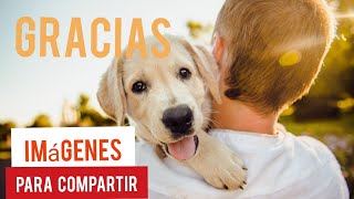 Gracias imágenes bonitas 🙏 para compartir Gracias imágenes bonitas 🙏 para compartir
