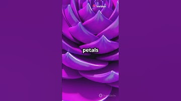 Nature’s Engineering: The Fibonacci Sequence #sciencefather #engineering #innovation