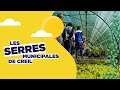 Les serres de creil  creil sud oise tourisme