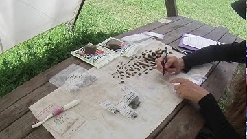 Processing finds from one of the test-pits