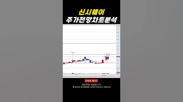 신시웨이 주가 전망 / 보안주