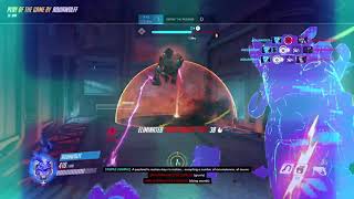 Echo Whole Hog*