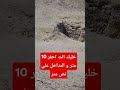 خليك انت احفر 10 متر و المداخل علي نص متر Shorts Subscribe زي الاشارات مابتقول احمد سفارى Like 