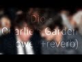Djo Charlie S Garden Slowed Reverb mp3