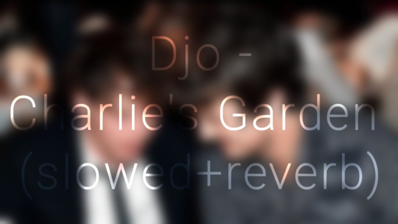 Djo - Charlie's Garden (slowed+reverb)