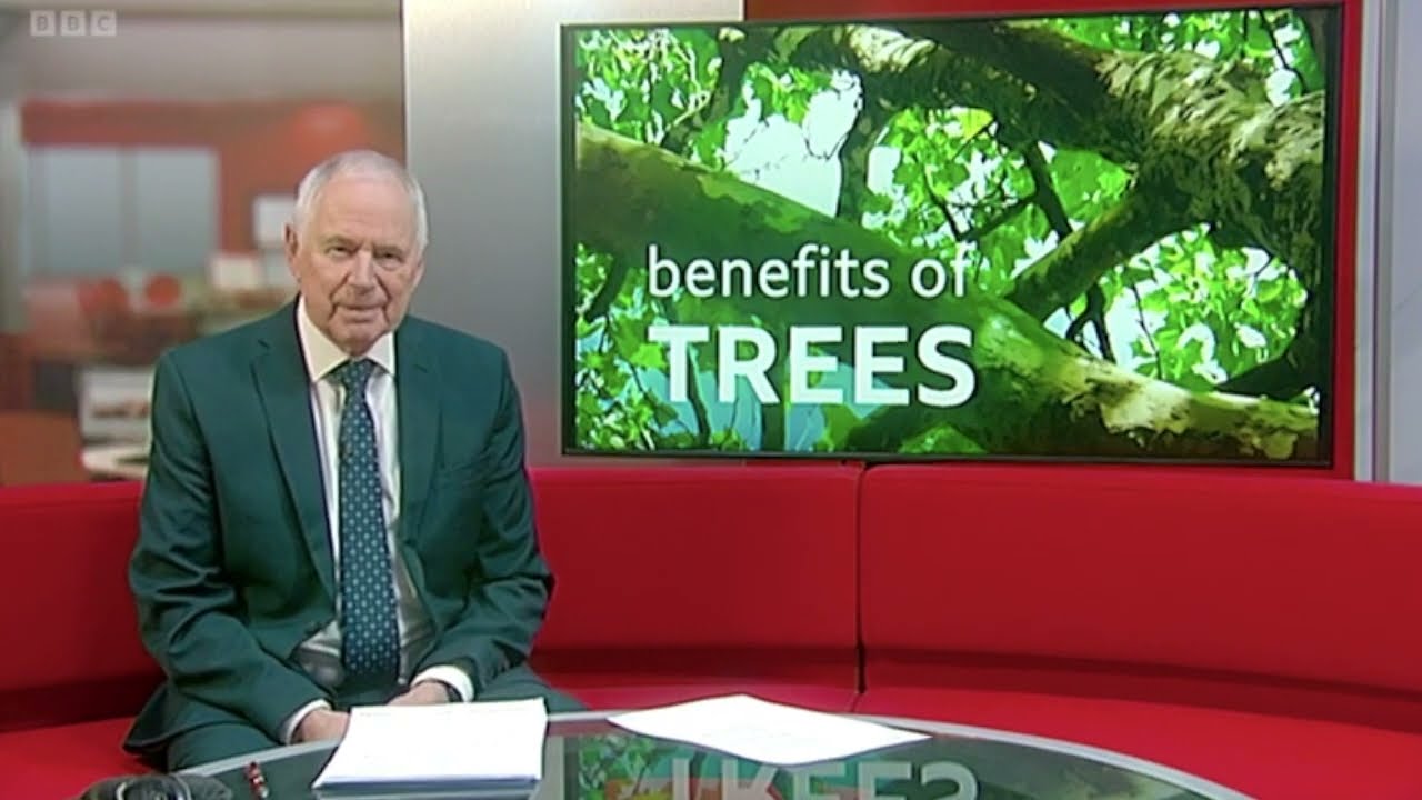 Midlands Today: Black Country i-Tree project