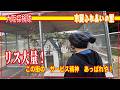 【リス大量】大阪でリス放し飼い！狭山　市民ふれあいの里「この街の　サービス精神　あっぱれや！」