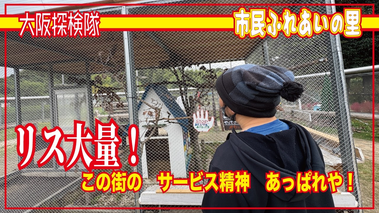【リス大量】大阪でリス放し飼い！狭山　市民ふれあいの里「この街の　サービス精神　あっぱれや！」