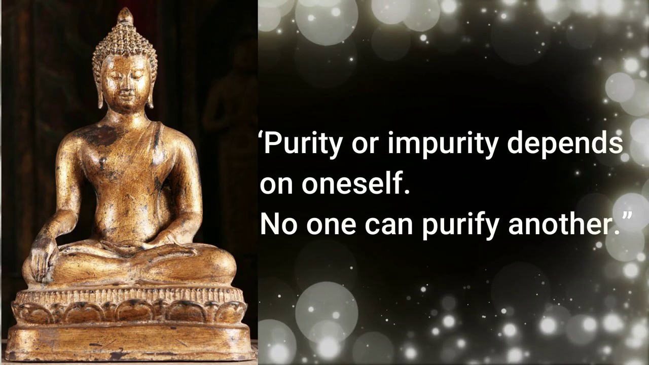 Buddha Beautiful Quotes ️ Buddha Quotes On Life | Buddha Thoughts