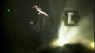 AND ALL THAT COULD HAVE BEEN HURT HALO 17 DVD