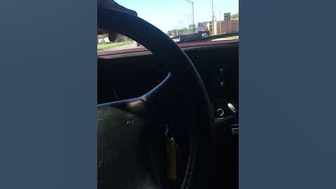 Algorand for the Borderless Economy