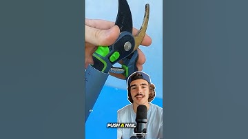 clever method for cutting high branches in the garden #shorts