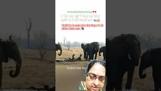#jab hathi ka baccha ula#funny t Gaya to fir kaise sidha hoga#fypシ゚viral #shortfilm 4#shortfilm #🦣🦣🦣