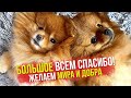 В надежде на лучшее! Всем мира и добра!