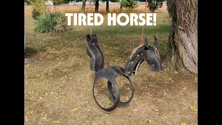Tired Horse