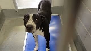 acs A679061