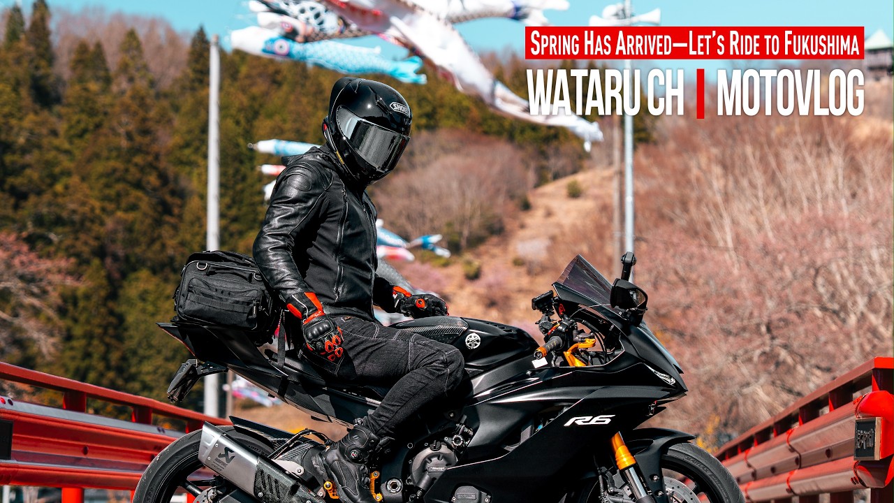 YZF-R6で走る春の福島が圧倒的すぎた【夏井千本桜・磯前神社・夜の森桜並木】