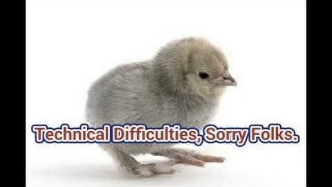 Shrink Wrapped Chick Rescue/Water Candleing