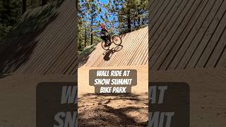 Wall ride #mtb #bike #wallride