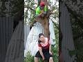 #funny #shrts cuộc sống hàng ngày 😍🥰