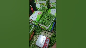Green chilli export quality Dubai Peking #song #coversong