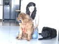 ELLIE MAY ~ Cesar Millan of the Lake Area