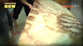 Bed Bug Invasion (Pestbusters! Pt 3)
