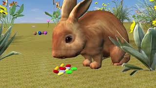 Benny the Bunny on Easter Day