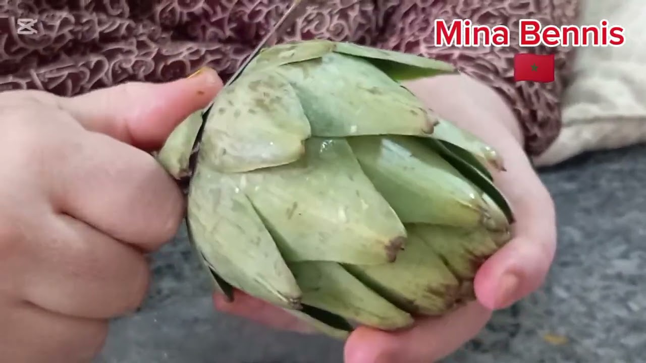 مريقةبالحم اولقوق اوجلبانة مع مينة بنيس 🇲🇦