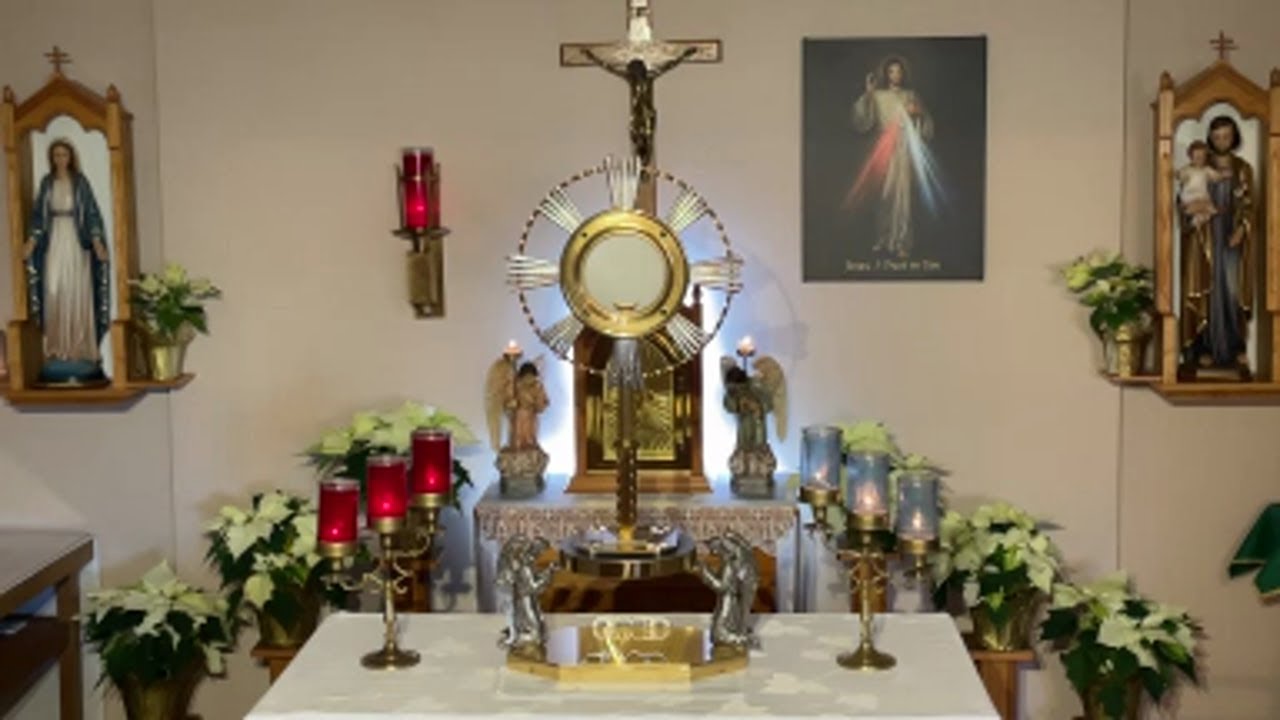 LIVE Eucharistic Adoration - Sisters of Divine Mercy