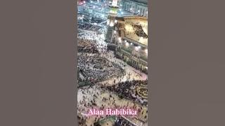 Beautiful_Qasida_Salawat_Medley-Sholawat - Lyrical Arabic Song❤️#cute #makkah #religion #muslim