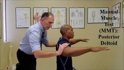 Manual Muscle Test (MMT) Deltoid