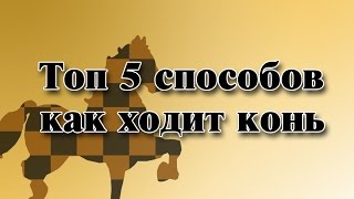 Уроки по шахматам. Топ 5 Способов объяснений. Как ходит конь? Уроки по шахматам. Топ 5 Способов объяснений. Как ходит конь?
