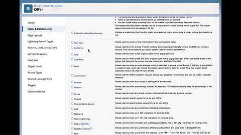 Understand Custom and Standard Objects