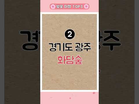🌸2023 숨은 벚꽃명소 TOP3🌸