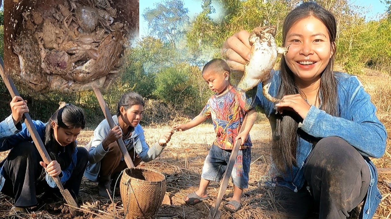 🐸ม่วนหลายมื้นี้ไปขุดเขียด หมานคักได้ทังเขียดทังกบ🐸🐸-ຮອດຍາມຂຸດຂຽດຕາມທົ່ງນາແລ້ວວ😄